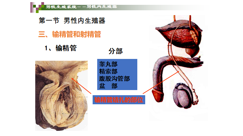 4ff52c397c1e882e00b7afd378dcd90.png 图片